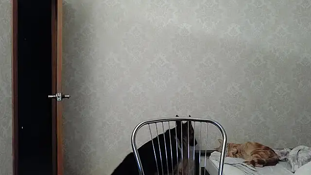 Kashtanka  online show from 12/10/24, 04:56