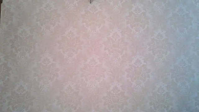 Kashtanka  online show from 11/04/25, 08:57