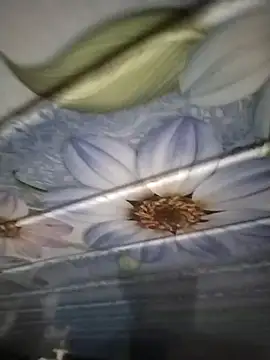 kunalmishra2003 online show from 11/20/25, 11:48