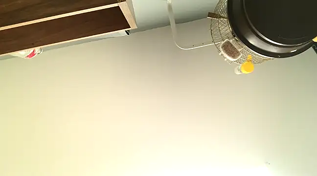 Snapshot of themany29 chatting on 01/27/25, 08:17 themany29 online show from 01/27/25, 08:17