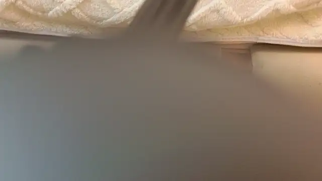 Ariana Lu online show from 03/08/25, 11:37