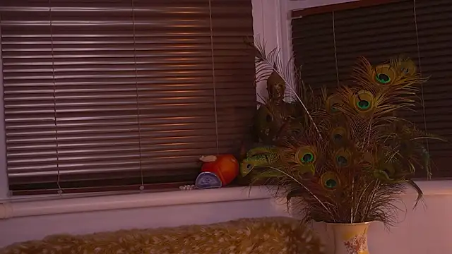 divinelights online show from 11/12/25, 05:02