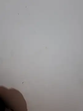 sweet Melody xx online show from 09/29/25, 01:11