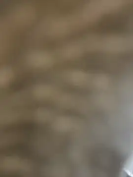 BhadBhad Kitty online show from 02/14/25, 06:45