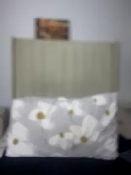 BhadBhad Kitty online show from 10/08/25, 04:21