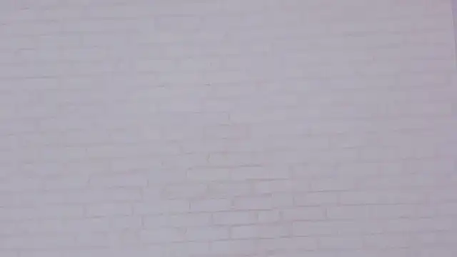 Tiffany mendez online show from 01/15/25, 12:04