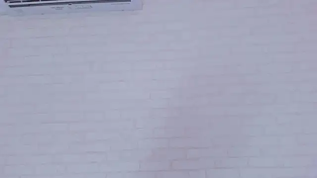 Tiffany mendez online show from 01/17/25, 12:10