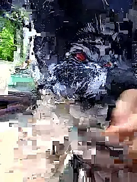 papi lover12 online show from 05/23/26, 06:12