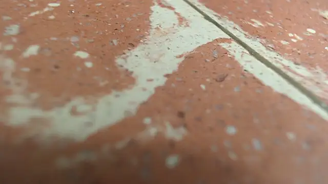 isabella jazz online show from 09/20/25, 03:24