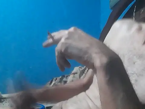 hugosafado333 online show from 10/15/25, 06:35