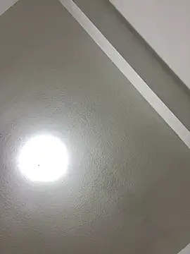 islandvybee55 online show from 01/03/25, 08:00