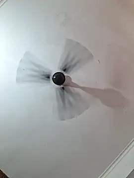 cutiecatty21 online show from 06/01/26, 11:23