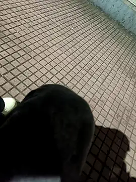 SurjS9 online show from 09/20/25, 03:35