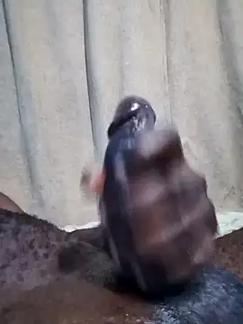 Snapshot of Dick_undisputed chatting on 01/17/25, 08:13 Dick undisputed online show from 01/17/25, 08:13