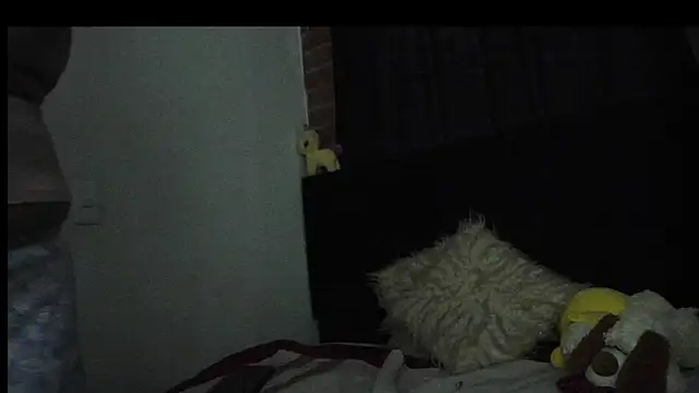 Snapshot of Evaaross_2345 chatting on 11/27/25, 10:50 Evaaross 2345 online show from 11/27/25, 10:50