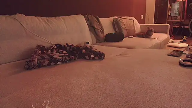 Nina24 online show from 10/16/25, 06:42