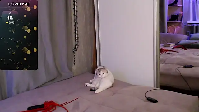 Carrie Moonshine online show from 03/16/25, 12:45
