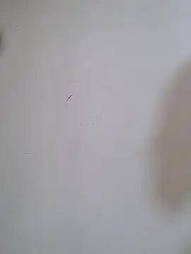 BriannaVincent online show from 01/30/25, 06:56