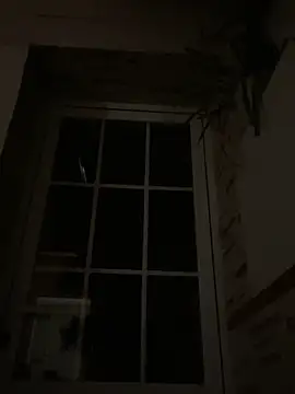 Imperial 10 online show from 12/06/24, 02:46