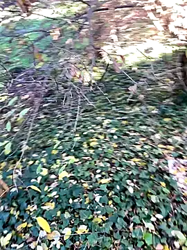 Snapshot of Lucascacaca chatting on 12/04/24, 02:04 Lucascacaca online show from 12/04/24, 02:04