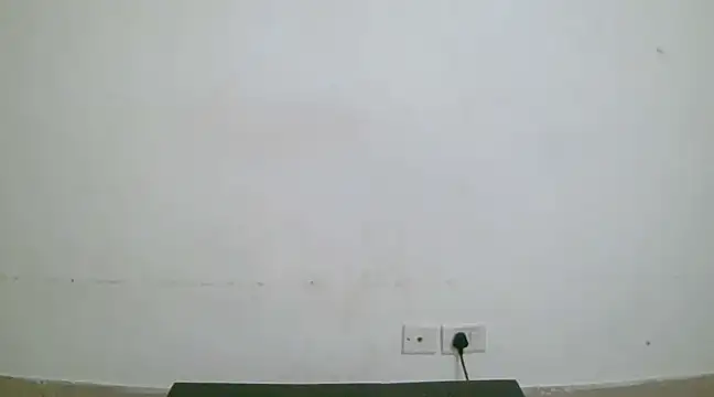 collage hoty online show from 01/19/25, 10:39