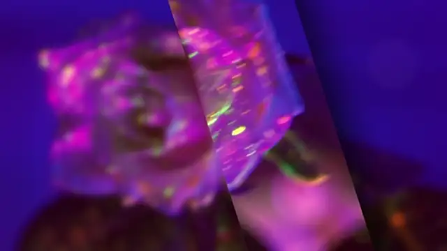 Snapshot of HeyBananas chatting on 10/22/25, 05:56 HeyBananas online show from 10/22/25, 05:56