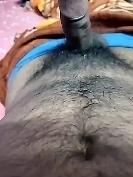 dick 01728 online show from 11/14/25, 08:07