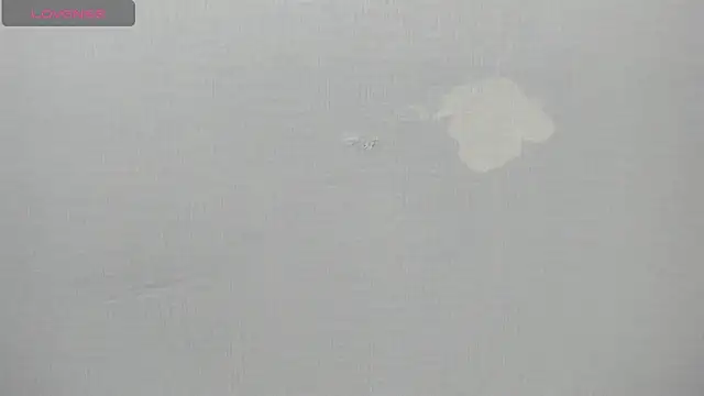 alice  tylor online show from 12/29/24, 11:50
