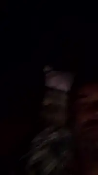 Gianlucazeis online show from 06/03/26, 02:58