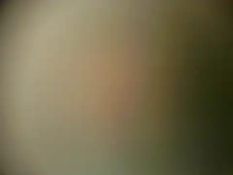 Snapshot of TheSweetBerry chatting on 03/28/26, 12:16 TheSweetBerry online show from 03/28/26, 12:16