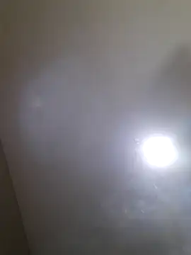 Colorao4 online show from 09/30/25, 02:55