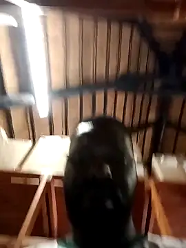 Touch mysoul online show from 10/26/25, 08:09