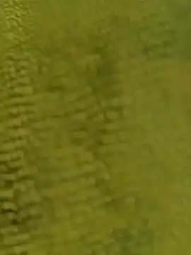 Snapshot of sadunt chatting on 12/17/25, 09:26 sadunt online show from 12/17/25, 09:26