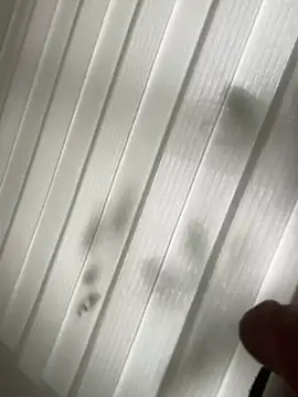 Snapshot of derFickerali chatting on 01/23/25, 01:13 derFickerali online show from 01/23/25, 01:13