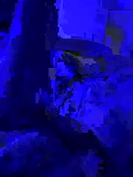 Naylee   online show from 07/04/26, 08:26
