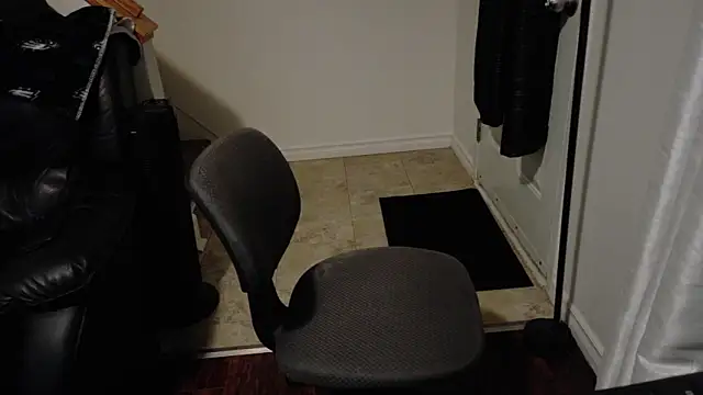 Snapshot of Thekodyy chatting on 12/04/25, 12:53 Thekodyy online show from 12/04/25, 12:53