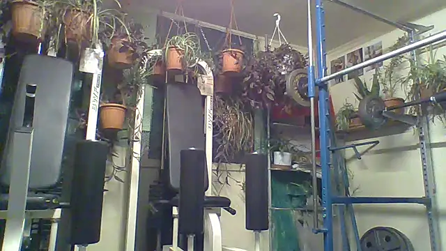 Andrikaa online show from 02/24/25, 05:31