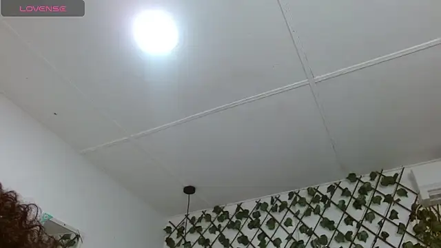 dannaberlin 0 online show from 12/30/24, 12:09
