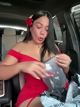 Snapshot of Abril10_ chatting on 10/15/25, 02:28 Abril10  online show from 10/15/25, 02:28