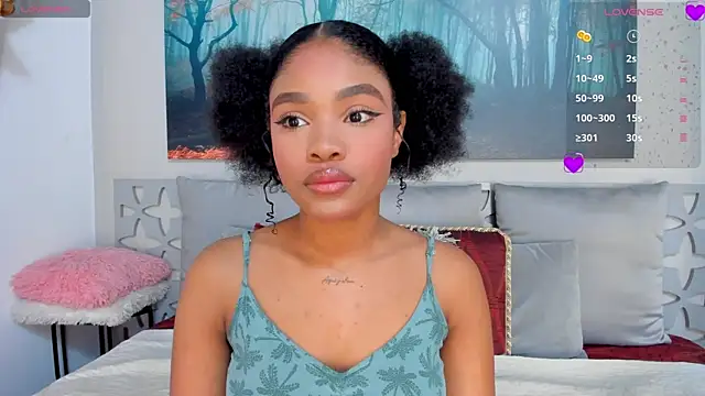 Snapshot of AriaFoster chatting on 01/23/25, 03:48 AriaFoster online show from 01/23/25, 03:48