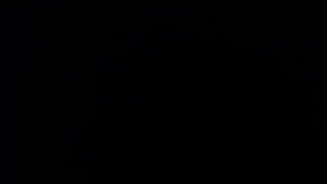  applepie online show from 03/04/25, 04:41