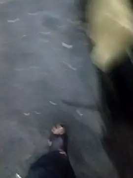 juan56900 online show from 12/16/25, 06:13