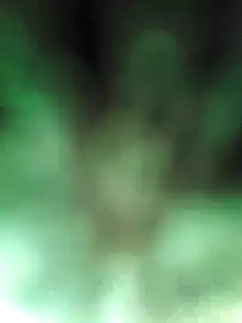 ch   ro69 online show from 12/08/24, 06:28