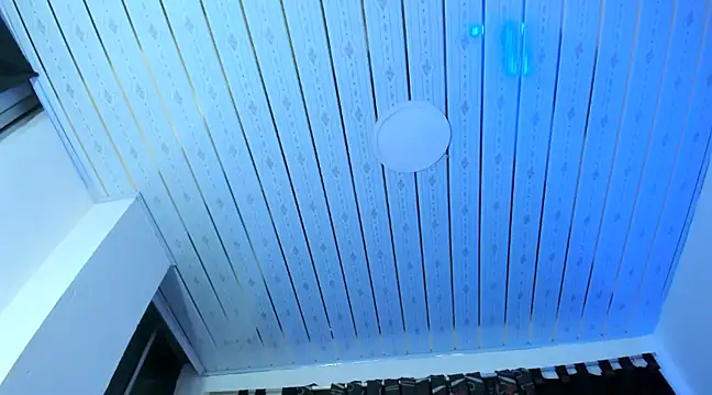 nova sex01 online show from 12/04/24, 03:59