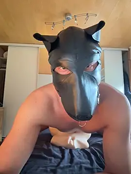 Snapshot of PlayDog123 chatting on 10/16/25, 02:29 PlayDog123 online show from 10/16/25, 02:29