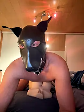 Snapshot of PlayDog123 chatting on 11/27/25, 04:42 PlayDog123 online show from 11/27/25, 04:42