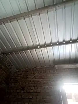 Shubu 76 online show from 09/15/25, 06:02