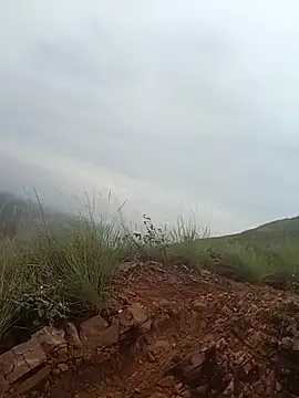 Snapshot of PervertedMature chatting on 11/06/25, 11:44 PervertedMature online show from 11/06/25, 11:44