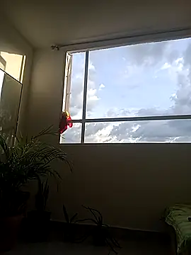 Dangerouspassion777 online show from 09/30/25, 10:04