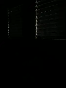 Snapshot of Rahul_sub chatting on 03/09/25, 07:48 Rahul sub online show from 03/09/25, 07:48